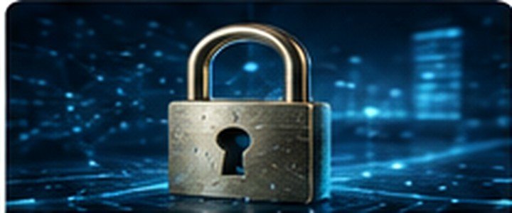 الاستشارات الأمنية العامة